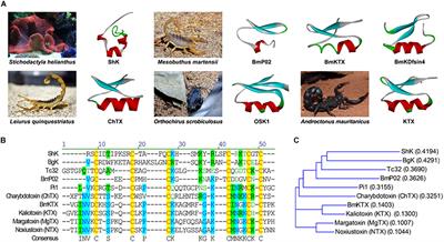 Kv1.3 Channel as a Key Therapeutic Target for Neuroinflammatory Diseases: State of the Art and Beyond